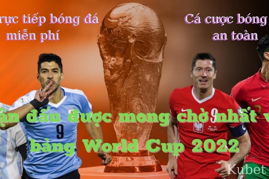 vòng bảng world cup