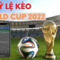 Tỷ lệ kèo World Cup 2022 cao nhất